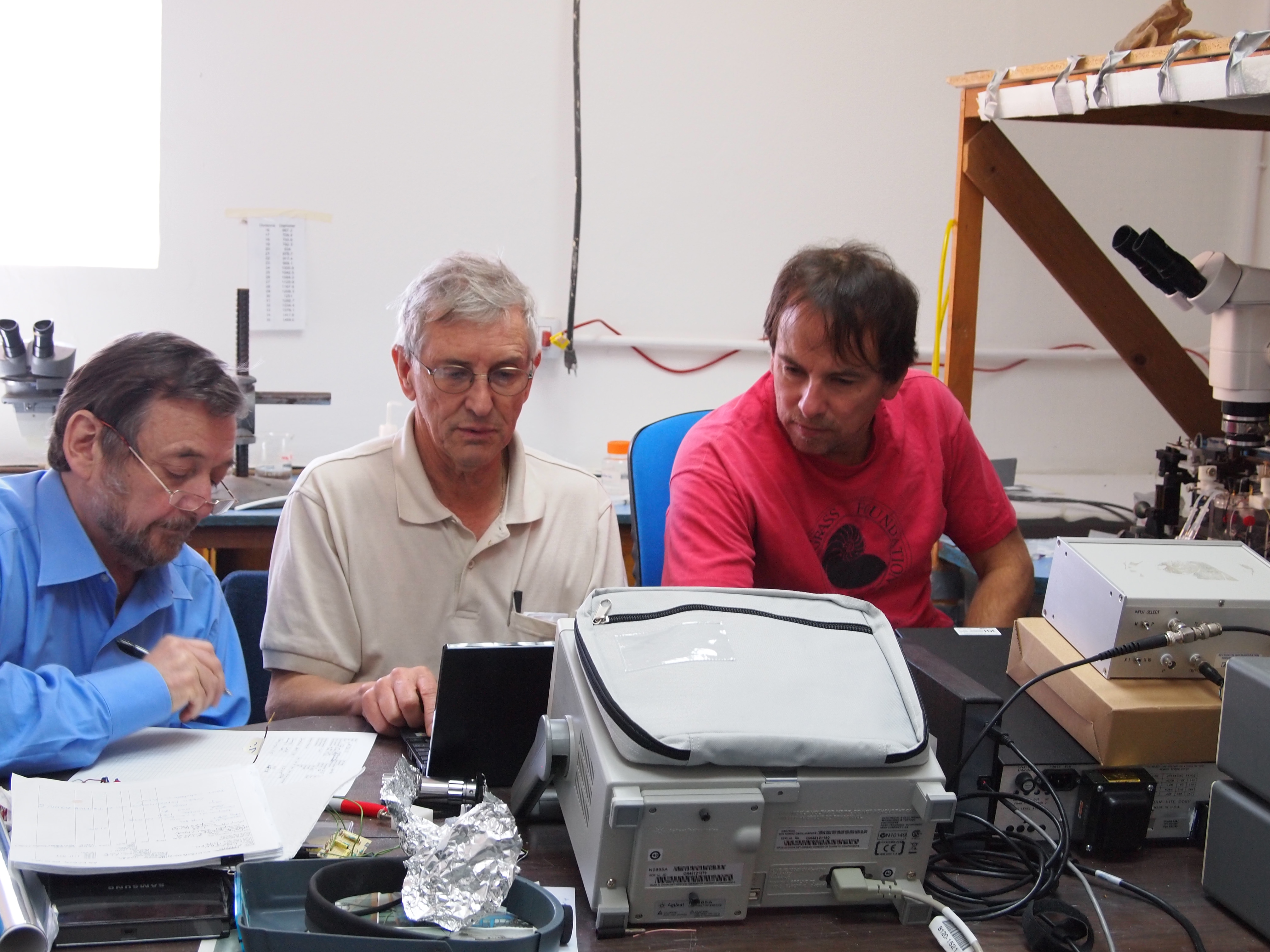 Bezanilla and colleagues conduct experiments using the squid giant axon in the Laboratory of Montemar in Chile