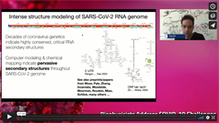 Rhiju Das | Biophysicists Address COVID-19...