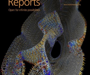 Biophysical Reports Publishes Its First Issue