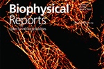 An Economic, Square-Shaped Flat-Field Illumination Module for TIRF-Based Super-Resolution Microscopy