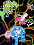 Understand the Regulation of Learning and Memory Formation from a Molecular Prospective