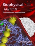 Mesoscopic Adaptive Resolution Scheme toward understanding of interactions between sickle cell fibers