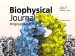 Seeking the Ion-Binding Sites in Voltage-Gated Calcium Channels