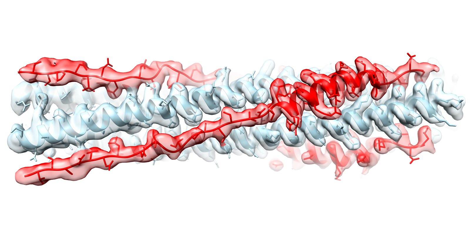 Weaponizing Part of the SARS-CoV-2 Spike Protein Against Itself to Prevent Infection