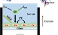 Harnessing Plant Molecules to Harvest Solar Energy