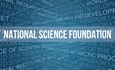 Inside Perspectives and Opportunities: NSF Grants