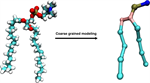 Coarse Grained Modeling