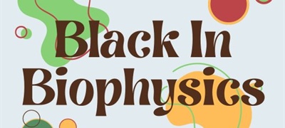 Black in Biophysics Research: Biophysics of Somatosensation and Pain