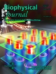 An Optically Induced Electrokinetics Microfluidics Chip