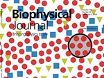 Phonon Modes in Nanostructured Lipid Bilayers