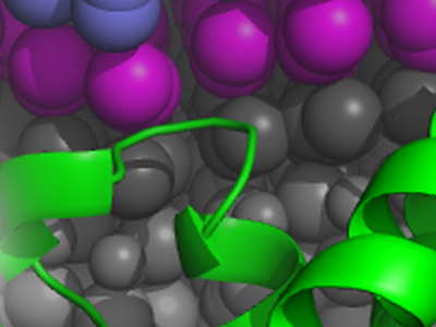 Celebrating 10 Years of Biophysics Week!