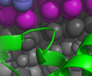 Celebrating 10 Years of Biophysics Week!
