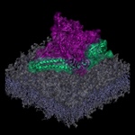 View the Program-at-a-Glance