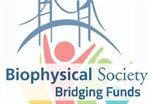 Biophysical Society Expands the Bridging Funds Program