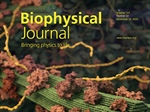 Harnessing Molecular Simulations and Artificial Intelligence to Advance Biomass Pretreatment and Biobased Materials Manufacturing