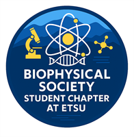 East Tennessee State University