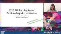 2026 PUI Faculty Award - Ashley R. Carter