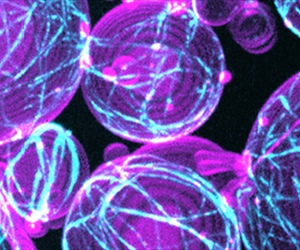 Celebrating the Science That Connects Us