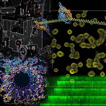 Macromolecular Machines & Assemblies