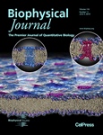 Membrane Nanodomain Formation