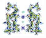 Updates from the Membrane Transport Subgroup