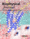 Infrared Spectroscopy Probes Potassium Channels