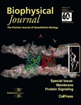 Unraveling the Substrate Preference of an Uncharacterized E.coli Homolog