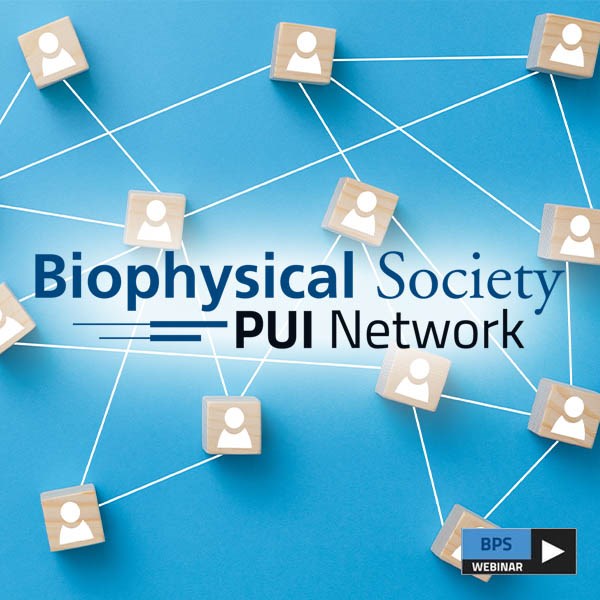 The BPS PUI Network