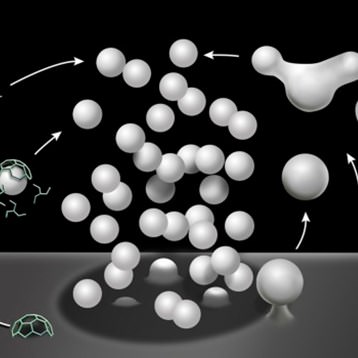 2024 Membrane Fusion, Fission & Traffic Subgroup